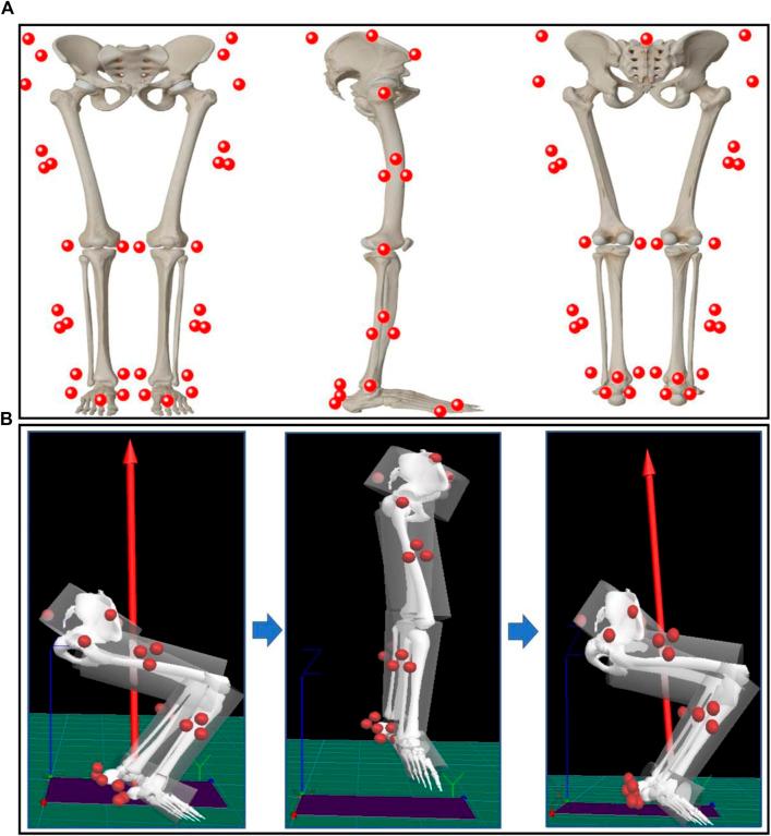 https://cdn.ncbi.nlm.nih.gov/pmc/blobs/0c5d/9428587/5d53007a7c04/fphys-13-877394-g001.jpg