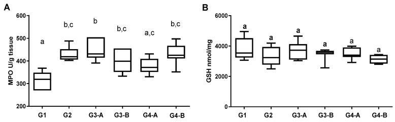 https://cdn.ncbi.nlm.nih.gov/pmc/blobs/0c5e/10486448/0b83e74ad4ad/foods-12-03318-g004a.jpg