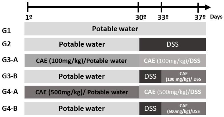 https://cdn.ncbi.nlm.nih.gov/pmc/blobs/0c5e/10486448/cd7e8b056d1f/foods-12-03318-g001.jpg