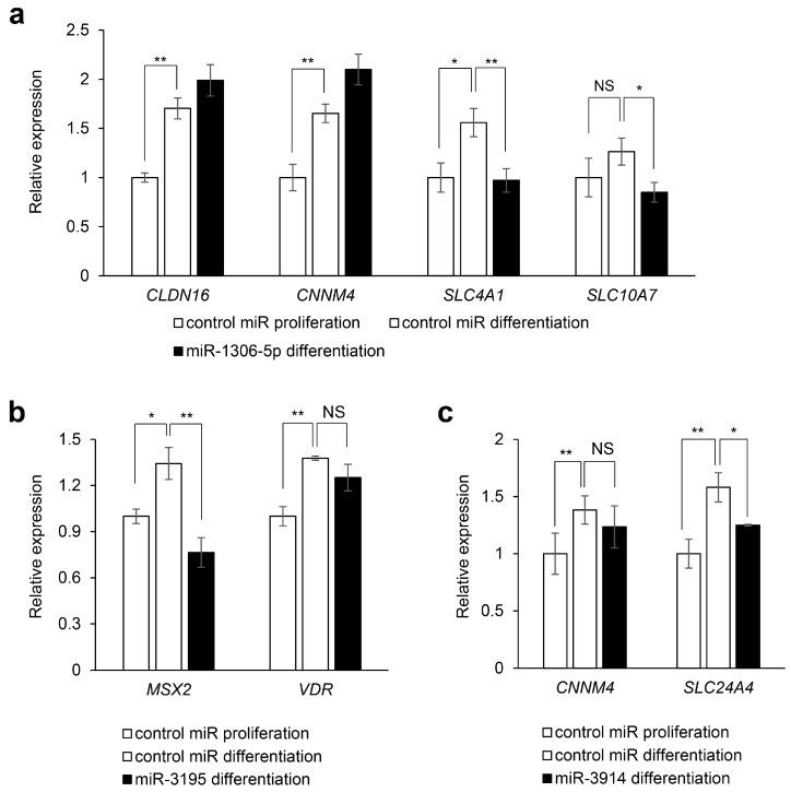 https://cdn.ncbi.nlm.nih.gov/pmc/blobs/0c5f/7926528/e6d7913efa02/ijms-22-02202-g007.jpg