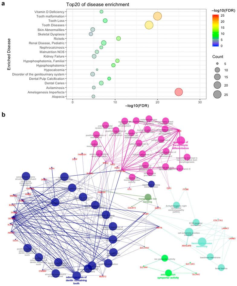 https://cdn.ncbi.nlm.nih.gov/pmc/blobs/0c5f/7926528/fd674af65e58/ijms-22-02202-g003.jpg