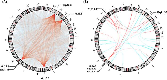 https://cdn.ncbi.nlm.nih.gov/pmc/blobs/0c60/9812838/c2fbf9f14771/MOL2-17-173-g006.jpg