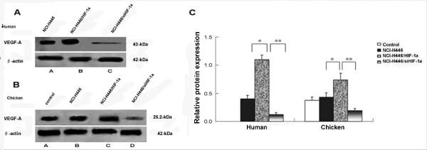 https://cdn.ncbi.nlm.nih.gov/pmc/blobs/0c61/3174873/1bb3c7b0cc6c/1756-9966-30-77-7.jpg