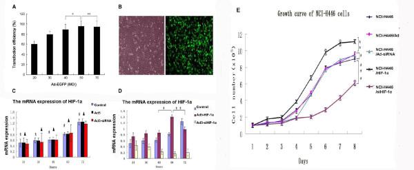 https://cdn.ncbi.nlm.nih.gov/pmc/blobs/0c61/3174873/4d5d189cdc9d/1756-9966-30-77-1.jpg