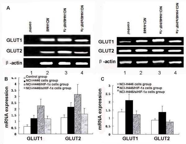 https://cdn.ncbi.nlm.nih.gov/pmc/blobs/0c61/3174873/ba6547f2bf1b/1756-9966-30-77-6.jpg