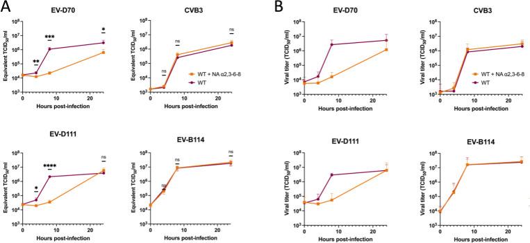 https://cdn.ncbi.nlm.nih.gov/pmc/blobs/0c62/12172487/1a354284bdec/jvi.00429-25.f006.jpg