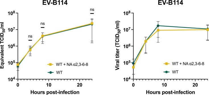 https://cdn.ncbi.nlm.nih.gov/pmc/blobs/0c62/12172487/aaaa64775249/jvi.00429-25.f005.jpg