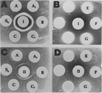 https://cdn.ncbi.nlm.nih.gov/pmc/blobs/0c63/426244/3d84251137df/plntphys00544-0261-a.jpg