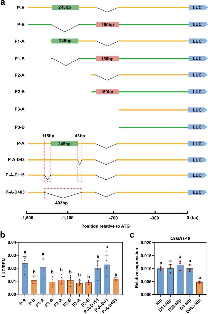 https://cdn.ncbi.nlm.nih.gov/pmc/blobs/0c64/11250373/8c23d8652b9c/41588_2024_1795_Fig11_ESM.jpg