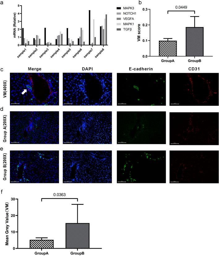https://cdn.ncbi.nlm.nih.gov/pmc/blobs/0c64/12277141/44aadf54778c/fgene-16-1431624-g008.jpg