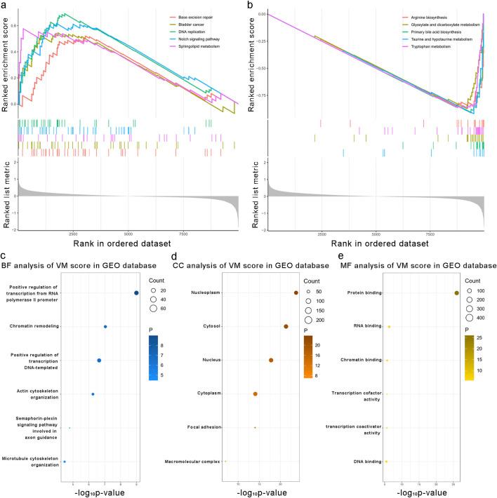 https://cdn.ncbi.nlm.nih.gov/pmc/blobs/0c64/12277141/dc26b1c3c14d/fgene-16-1431624-g005.jpg