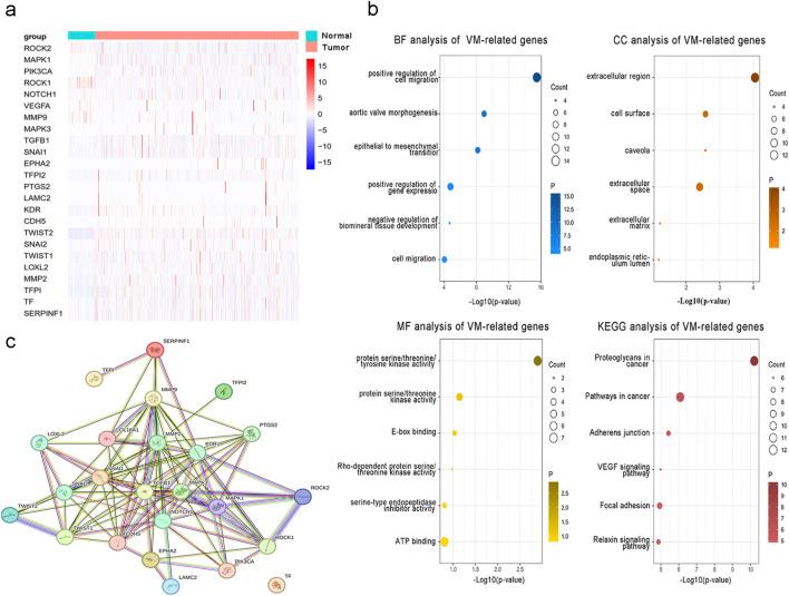 https://cdn.ncbi.nlm.nih.gov/pmc/blobs/0c64/12277141/e21125f19b82/fgene-16-1431624-g001.jpg