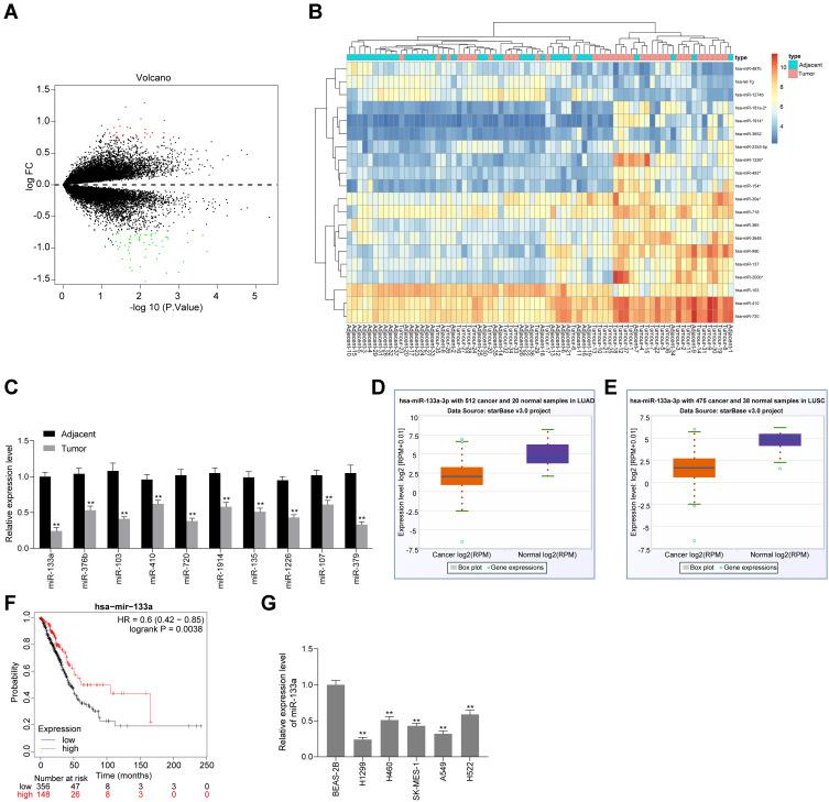 https://cdn.ncbi.nlm.nih.gov/pmc/blobs/0c64/7910089/89e73dbb441b/OTT-14-1187-g0001.jpg