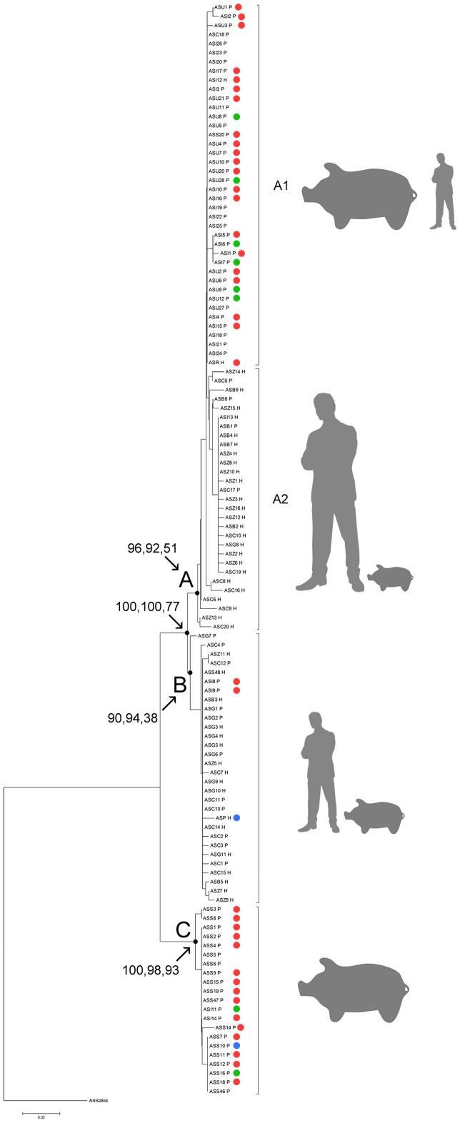 https://cdn.ncbi.nlm.nih.gov/pmc/blobs/0c65/3623706/06f3a6408a5d/pntd.0002170.g002.jpg