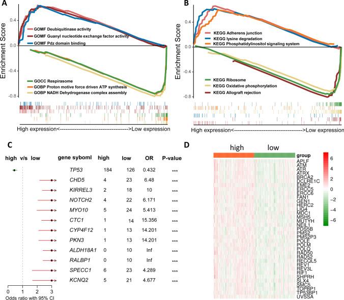 https://cdn.ncbi.nlm.nih.gov/pmc/blobs/0c66/12102048/5084295789b5/12672_2025_2676_Fig3_HTML.jpg