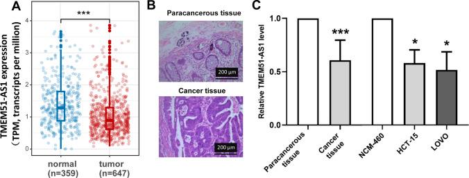 https://cdn.ncbi.nlm.nih.gov/pmc/blobs/0c66/12102048/c07d9999c598/12672_2025_2676_Fig1_HTML.jpg