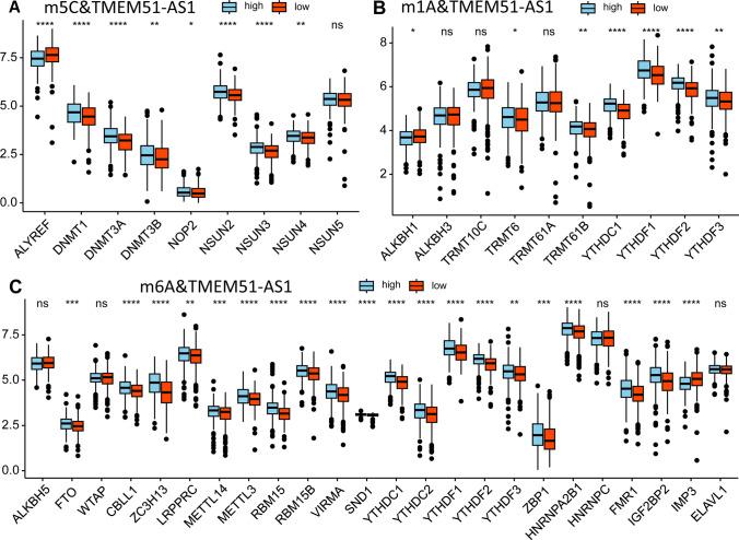 https://cdn.ncbi.nlm.nih.gov/pmc/blobs/0c66/12102048/f910d15705d1/12672_2025_2676_Fig2_HTML.jpg