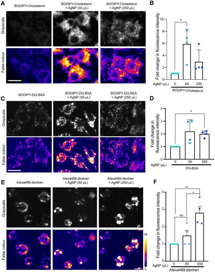 https://cdn.ncbi.nlm.nih.gov/pmc/blobs/0c68/10551705/99f87fef851f/mbc-34-ar96-g003.jpg