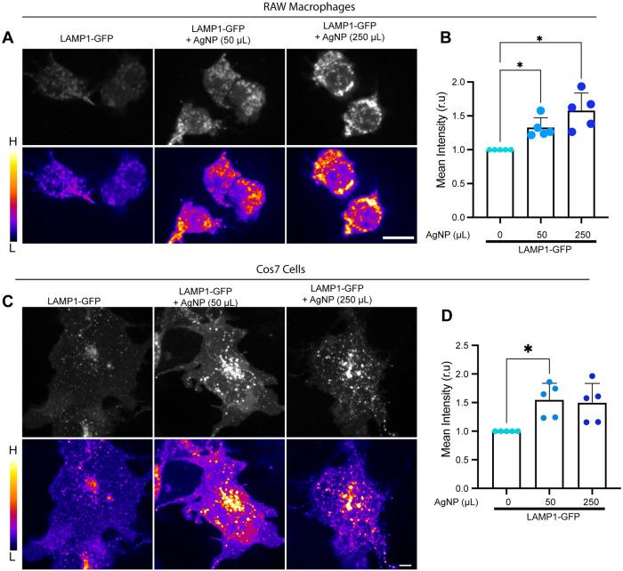 https://cdn.ncbi.nlm.nih.gov/pmc/blobs/0c68/10551705/f287293ff96b/mbc-34-ar96-g004.jpg