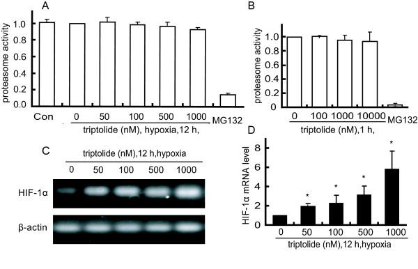 https://cdn.ncbi.nlm.nih.gov/pmc/blobs/0c68/2958983/47feb240cb26/1476-4598-9-268-3.jpg