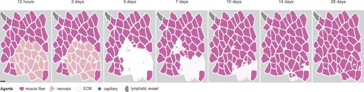 https://cdn.ncbi.nlm.nih.gov/pmc/blobs/0c6b/11147512/29071573916b/elife-91924-fig1-figsupp1.jpg