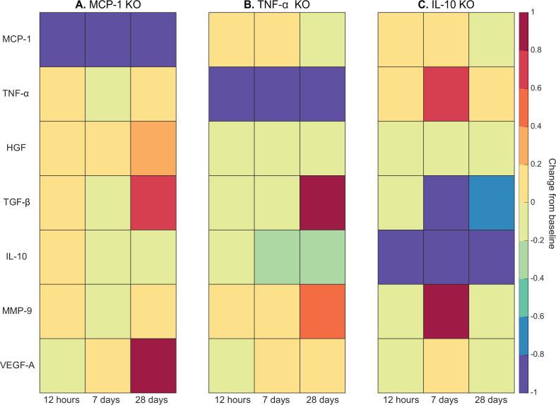 https://cdn.ncbi.nlm.nih.gov/pmc/blobs/0c6b/11147512/600f65499bb4/elife-91924-fig5.jpg