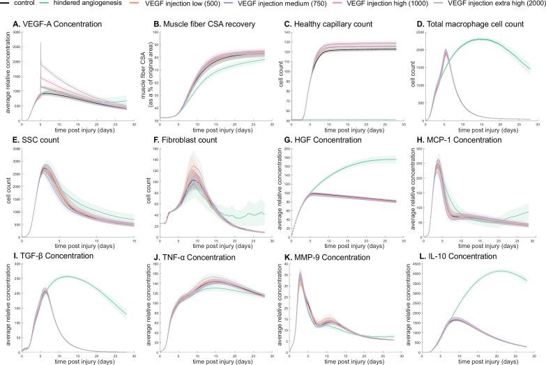 https://cdn.ncbi.nlm.nih.gov/pmc/blobs/0c6b/11147512/da55717c20c5/elife-91924-fig4.jpg
