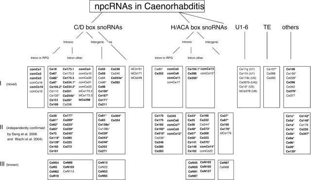 https://cdn.ncbi.nlm.nih.gov/pmc/blobs/0c6b/1464110/9c5ecede6301/gkl359f1.jpg