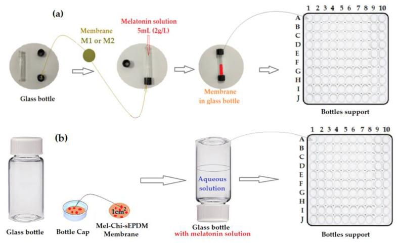 https://cdn.ncbi.nlm.nih.gov/pmc/blobs/0c6c/10057635/ac12581dd362/membranes-13-00282-g004.jpg