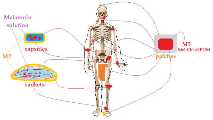 https://cdn.ncbi.nlm.nih.gov/pmc/blobs/0c6c/10057635/cf4b98c3440d/membranes-13-00282-g018.jpg