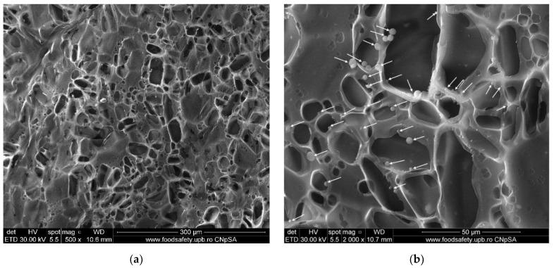 https://cdn.ncbi.nlm.nih.gov/pmc/blobs/0c6e/9414885/47797fc1e013/membranes-12-00804-g009a.jpg