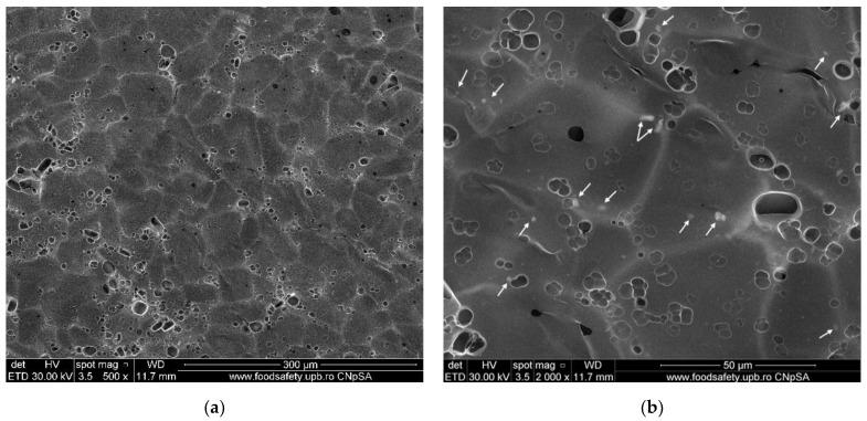 https://cdn.ncbi.nlm.nih.gov/pmc/blobs/0c6e/9414885/a2d886f3985e/membranes-12-00804-g010a.jpg