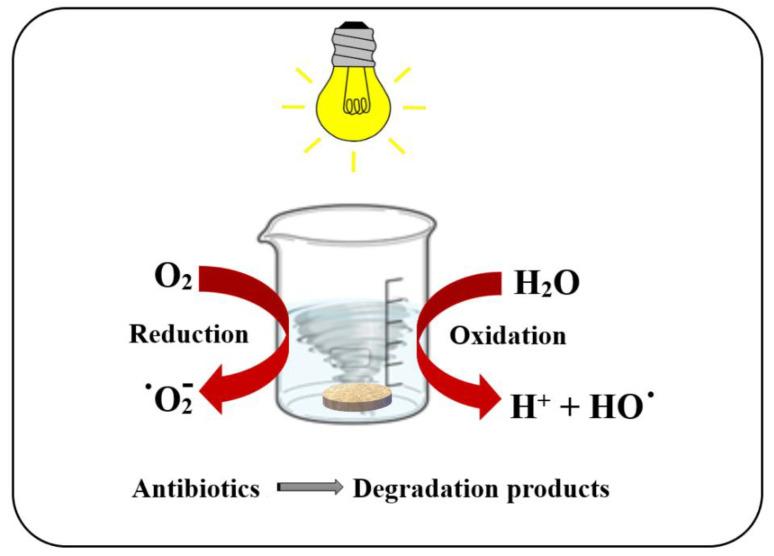 https://cdn.ncbi.nlm.nih.gov/pmc/blobs/0c6e/9414885/b57fe1efe5a1/membranes-12-00804-g012.jpg