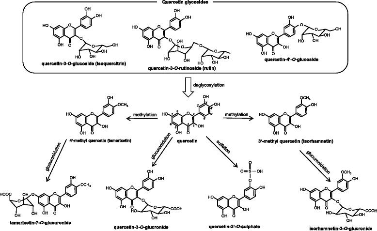 https://cdn.ncbi.nlm.nih.gov/pmc/blobs/0c6f/5286800/b32f63ade132/41021_2016_71_Fig3_HTML.jpg