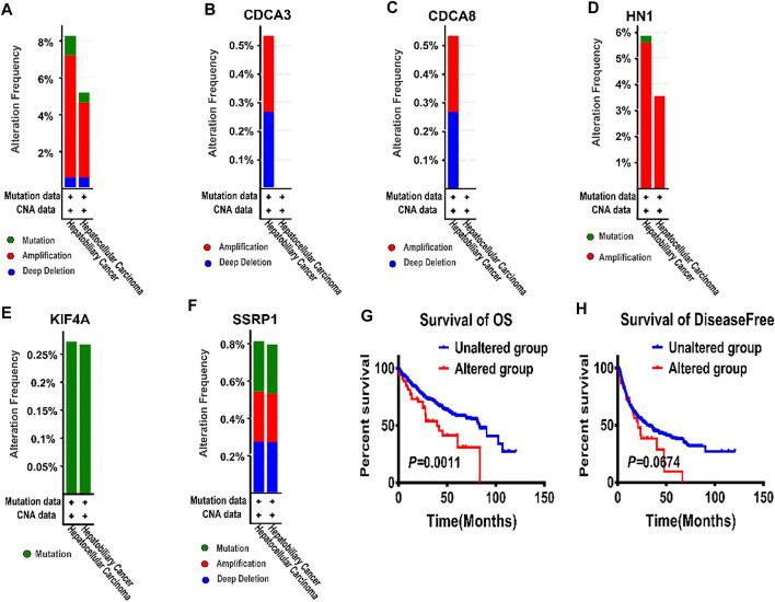 https://cdn.ncbi.nlm.nih.gov/pmc/blobs/0c73/9110819/13985bd90d72/fgene-13-879299-g004.jpg
