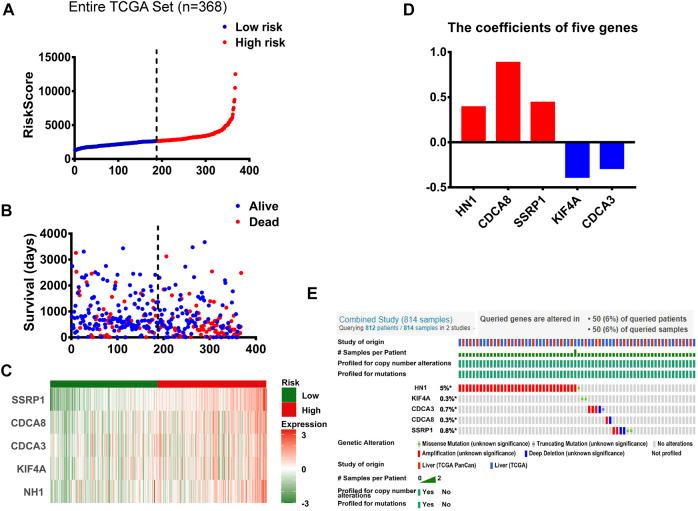 https://cdn.ncbi.nlm.nih.gov/pmc/blobs/0c73/9110819/22e808cfe2f2/fgene-13-879299-g002.jpg
