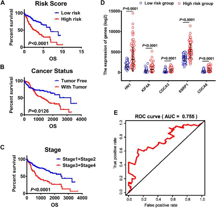 https://cdn.ncbi.nlm.nih.gov/pmc/blobs/0c73/9110819/7f9fb4ce2619/fgene-13-879299-g005.jpg