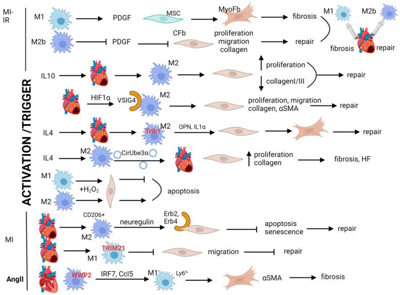 https://cdn.ncbi.nlm.nih.gov/pmc/blobs/0c74/11591949/2f395e8a62f4/biomolecules-14-01403-g003.jpg