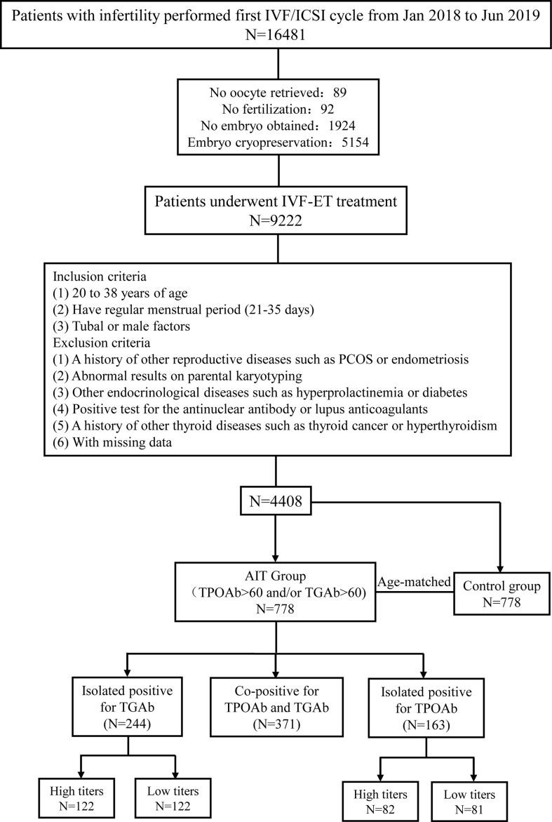 https://cdn.ncbi.nlm.nih.gov/pmc/blobs/0c75/8296807/94ebebb7b214/fendo-12-698579-g001.jpg