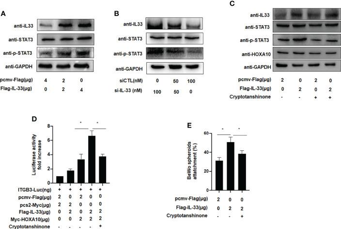 https://cdn.ncbi.nlm.nih.gov/pmc/blobs/0c75/9353328/407574c89f32/fendo-13-928024-g005.jpg