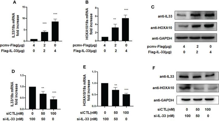 https://cdn.ncbi.nlm.nih.gov/pmc/blobs/0c75/9353328/e660d68605fc/fendo-13-928024-g002.jpg