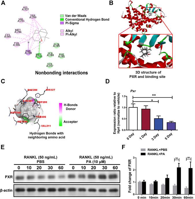 https://cdn.ncbi.nlm.nih.gov/pmc/blobs/0c76/8227438/1285a68734f7/fphar-12-684976-g005.jpg