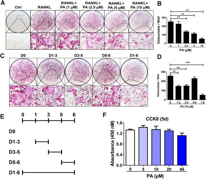 https://cdn.ncbi.nlm.nih.gov/pmc/blobs/0c76/8227438/16f24391367e/fphar-12-684976-g001.jpg
