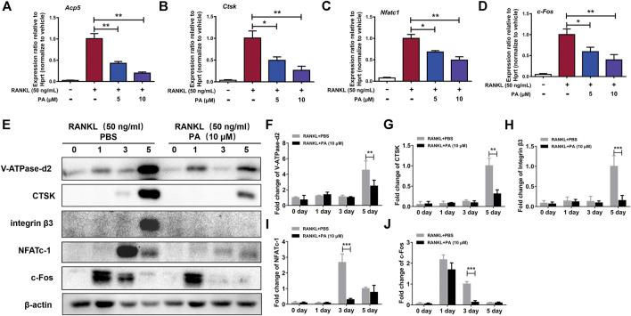 https://cdn.ncbi.nlm.nih.gov/pmc/blobs/0c76/8227438/33edd40eae16/fphar-12-684976-g003.jpg