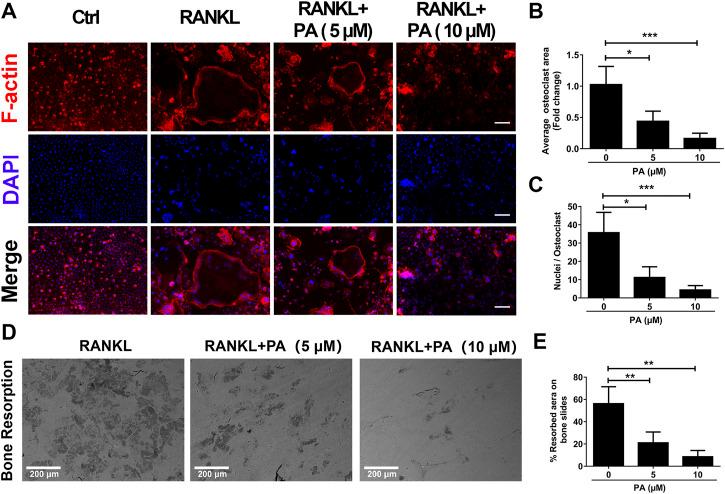 https://cdn.ncbi.nlm.nih.gov/pmc/blobs/0c76/8227438/b08292389d32/fphar-12-684976-g002.jpg