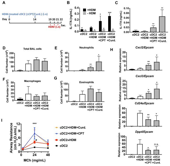 https://cdn.ncbi.nlm.nih.gov/pmc/blobs/0c7a/7000221/265e8a6fb6f5/elife-49416-fig6.jpg