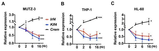 https://cdn.ncbi.nlm.nih.gov/pmc/blobs/0c7a/7000221/6f43583eba21/elife-49416-fig2.jpg