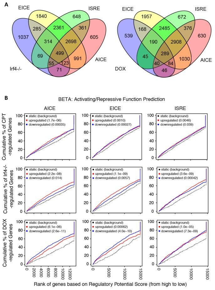 https://cdn.ncbi.nlm.nih.gov/pmc/blobs/0c7a/7000221/8bb00385c78a/elife-49416-fig5-figsupp3.jpg