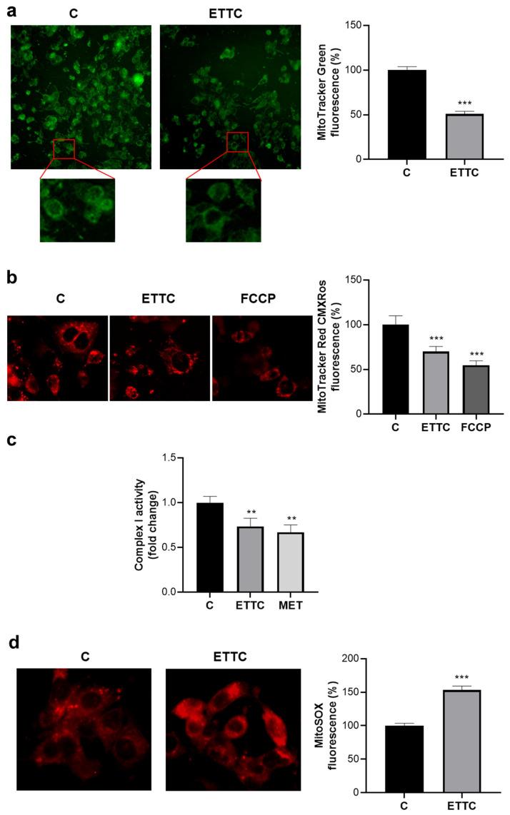 https://cdn.ncbi.nlm.nih.gov/pmc/blobs/0c7b/9775964/67c8750697c5/biomedicines-10-03120-g006.jpg