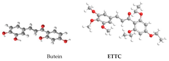 https://cdn.ncbi.nlm.nih.gov/pmc/blobs/0c7b/9775964/a7db783dcec0/biomedicines-10-03120-g002.jpg